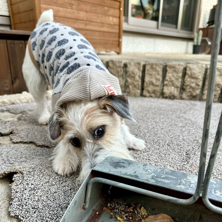 39ffacfe ae70 437a 8055 03dd2c845da9 1702977258872