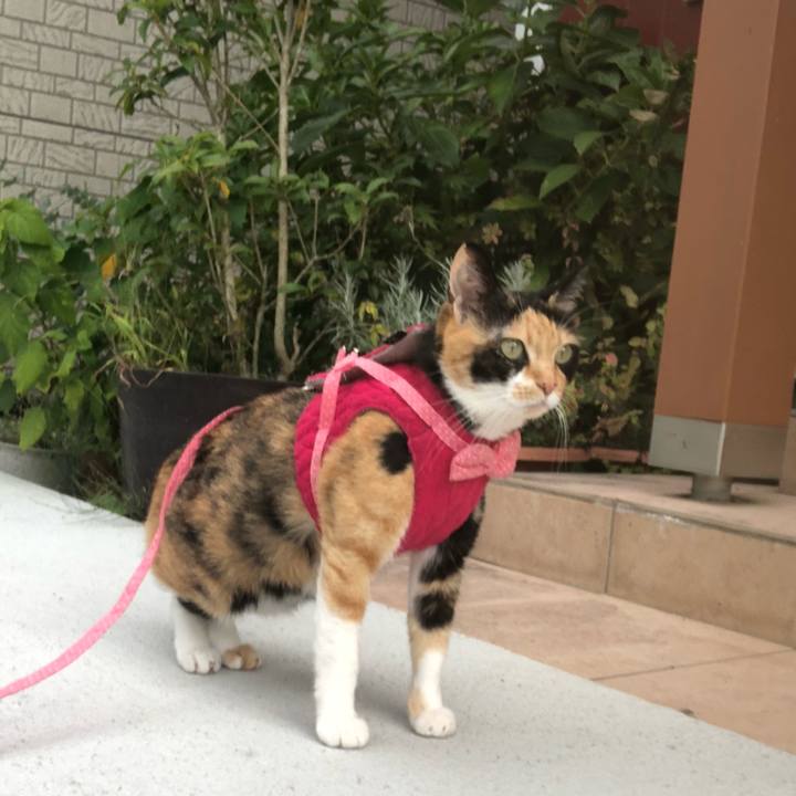 39ffdf27 f7d5 4b84 b81b 1303f6d6fdc8 1632781859230