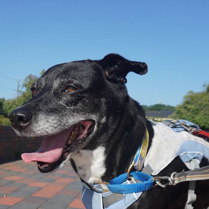 39ffeaba f5ed 4d2e aeff 1e64d27df18e 1755216581563