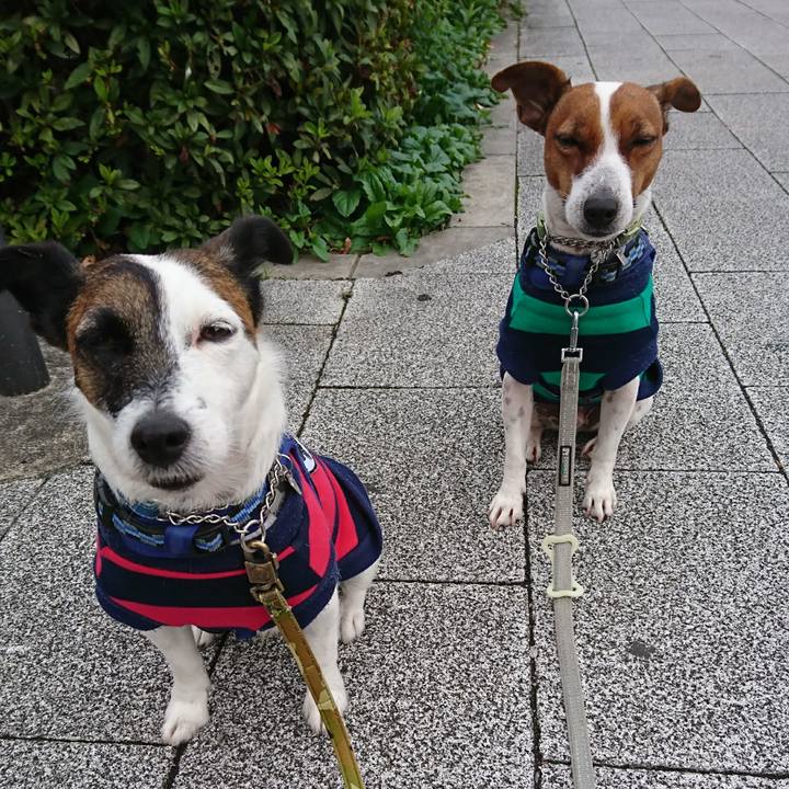 3a0011b2 dbcb 4a3c b07b b5b589f26f9f 1604617872889