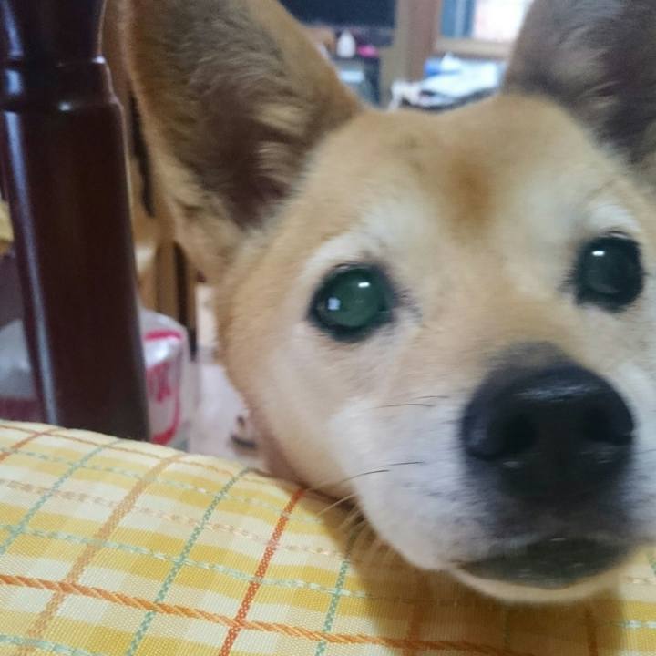 3a002b4d 6b45 4b18 838c 21453d5f30ce 1562714252181