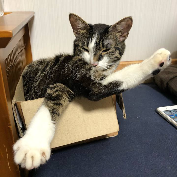 3a003efd 0b1a 4c7b 814f c8d76d2f2ba8 1520828770269