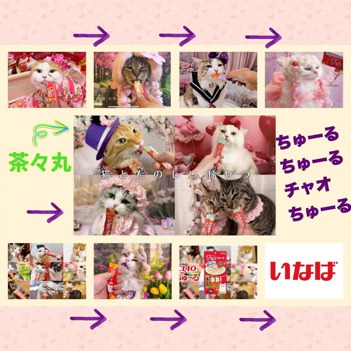 3a005f47 5bbe 4c82 a09d 192692fee861 1748332908842