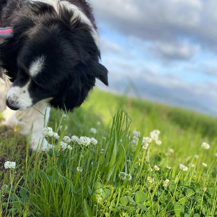 3a008312 bbcb 40ae a9d7 8e87757af82c 1650065774878