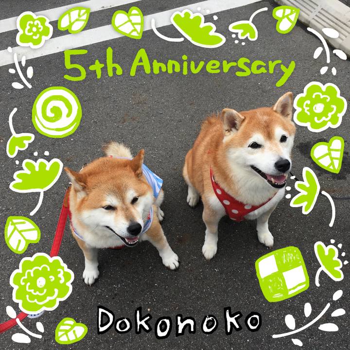 3a00870a 79ff 439b 94ad aa9f108a1f05 1622852711149