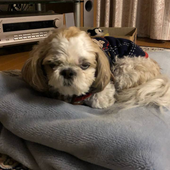 3a008ec0 3af1 4351 9f26 85b605c5a84c 1543528620209