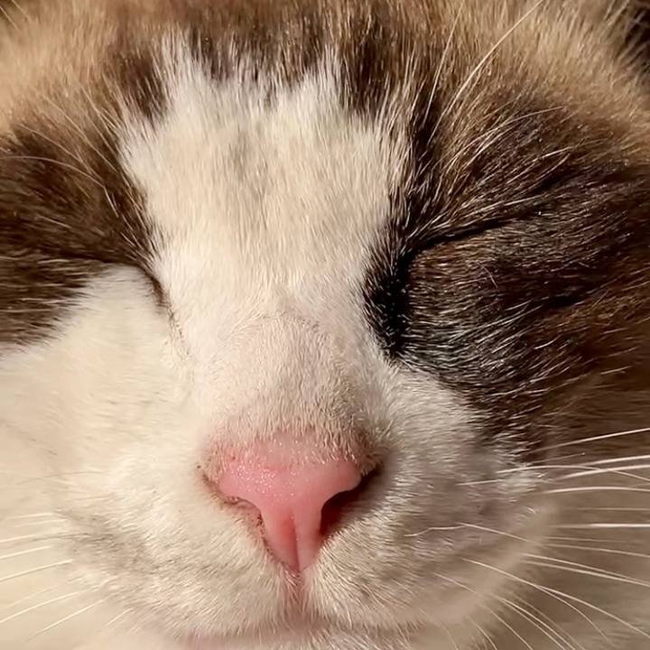 3a00c8ae c667 4da5 af3d a8e93e920f71 1732244619752