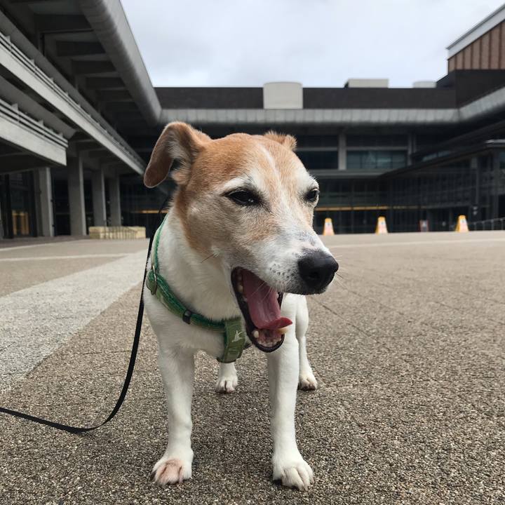 3a00e7ed 395c 48ff b7ef 49430d6681f0 1593043212318