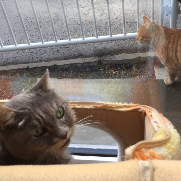 3a00ecab b57d 4b03 b934 5071fc77dcb6 1517745770212