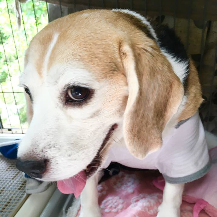 3a012216 943e 4ba7 bd3c 4e511ab11b4f 1569594736042