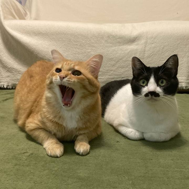 3a0122aa b43e 4075 baf3 4fbe71525942 1763294428428