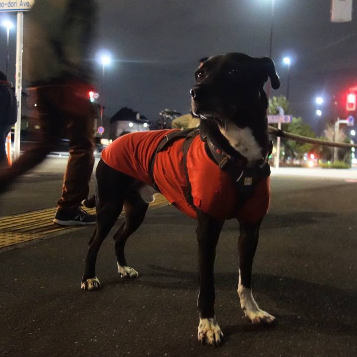 3a012bc6 cb47 48f5 8255 714964a26583 1643281661154