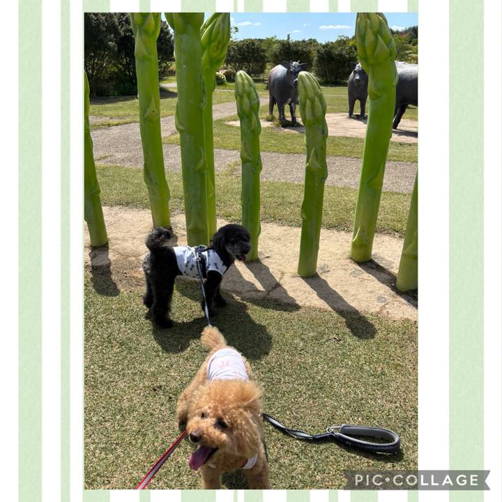 3a016301 4ec0 4cfe 86ad 18dbd930bd5d 1748174330774