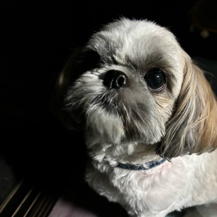 3a019f77 4be4 4d15 b380 6006c5062b22 1729693802229