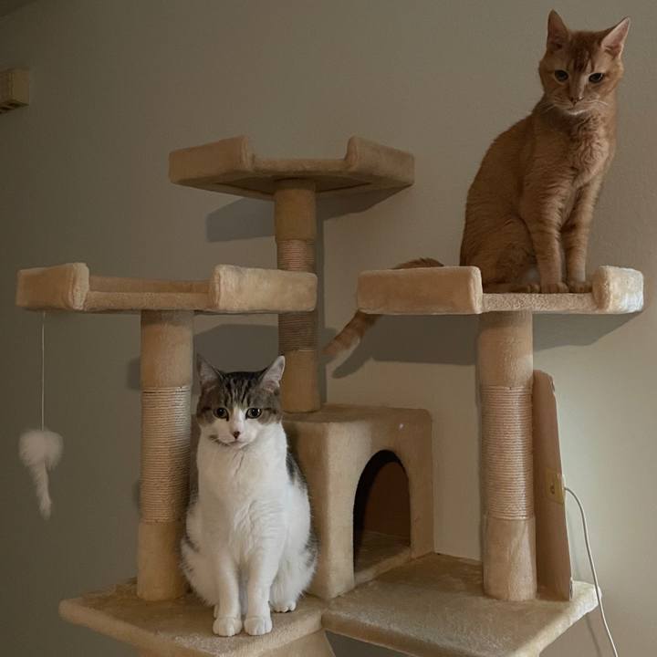 3a01b31a 554e 465c a7c1 1185cd9a6cf0 1769133805981