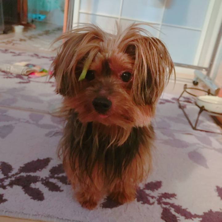 3a01b5d3 f70b 4c15 827b f421bdd75bf8 1531821847526