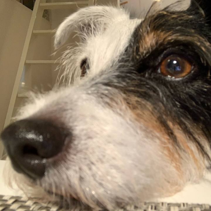 3a01c39c 0c93 43bd a3bb 5a14226dc2f3 1629626788693