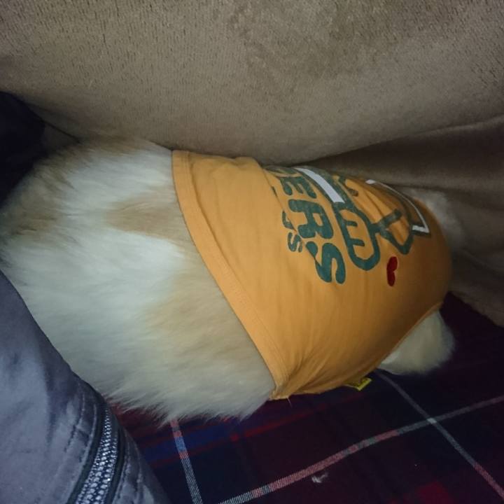 3a01c6e8 071d 41a0 91ee 8f63d3bb745b 1516825577279