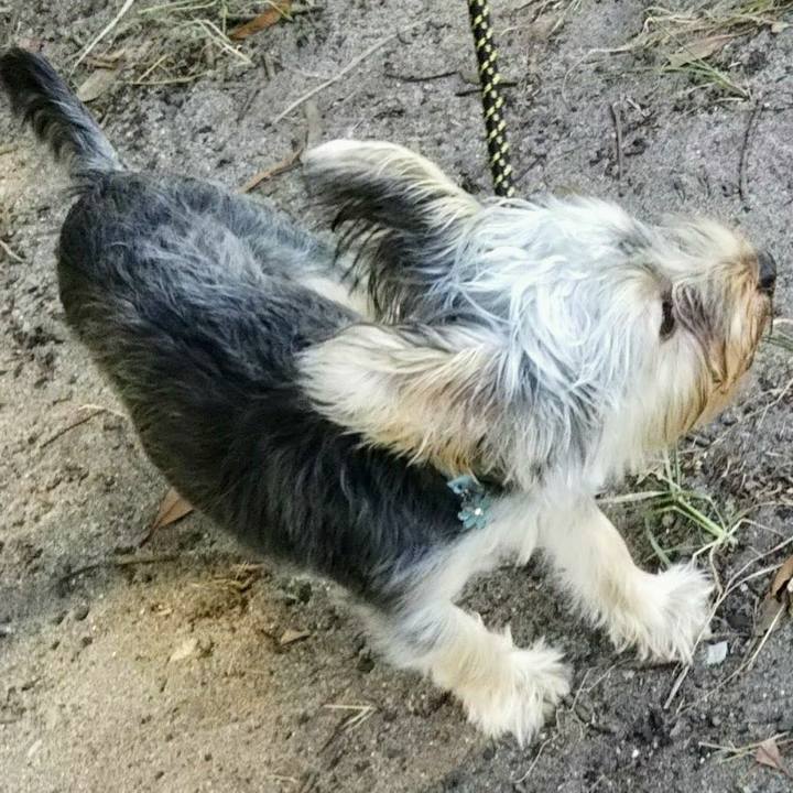 3a01e469 6cde 4b33 8d98 18c6858c6a85 1538035467132