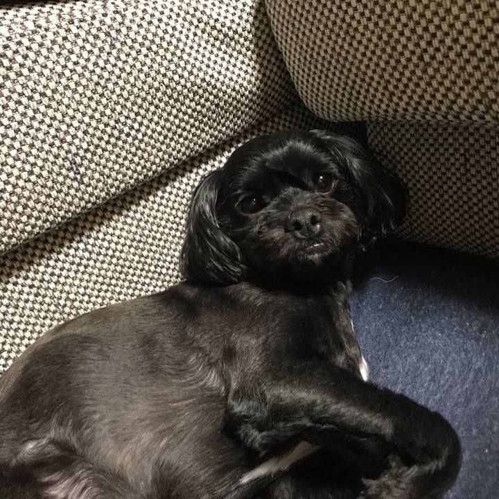 3a01f7eb 5ad4 4eaf b7a1 09a03ac88893 1535633843292