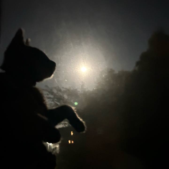 3a02047f 90d9 415e ab72 2f84394d4e8d 1729157983316