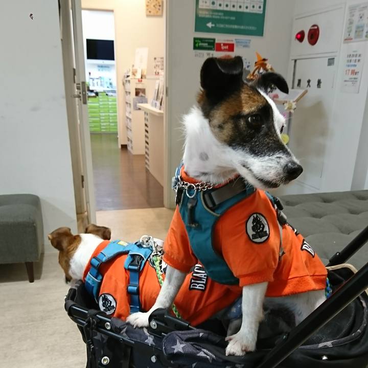 3a028017 be89 41f5 953b 285e11127854 1600419041026