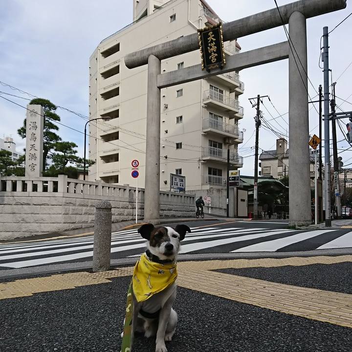 3a028446 3925 4922 92f9 98a2540ec03f 1521873143956