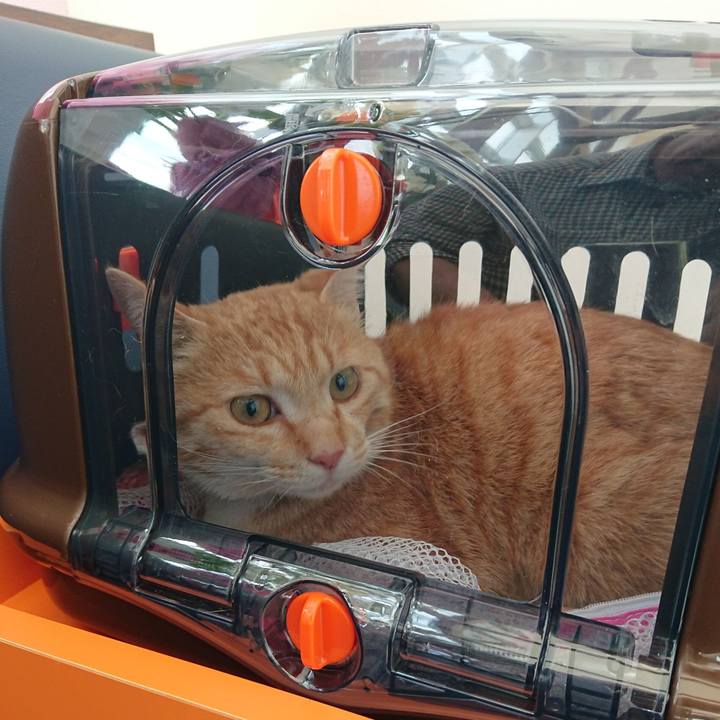 3a02cb12 55b2 48b9 8482 74532781b4db 1588468471356