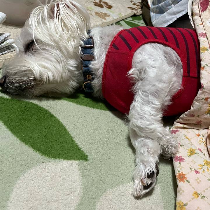 3a034708 29c9 4b16 b938 eae4e6db0907 1667695032749