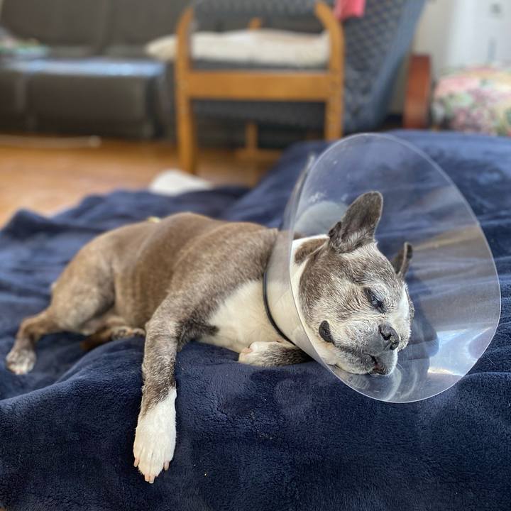 3a035279 e281 4162 9df0 b8f9c1d1d530 1640142208342