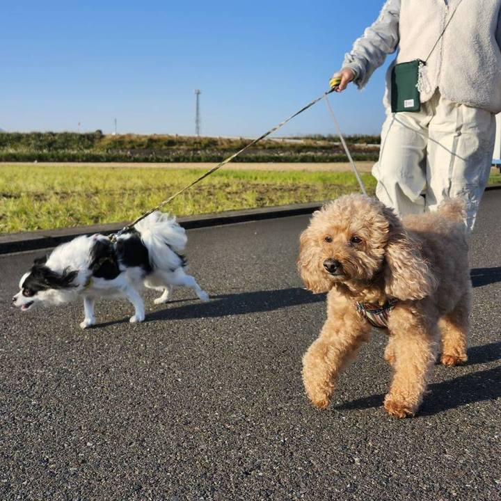 3a037bcb 0fba 4d1e 89f1 28e5e1d64f2b 1762595345741