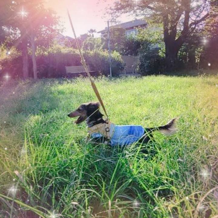 3a03a5a3 9cee 4328 8bbe 2d42bbee37b9 1726096057588