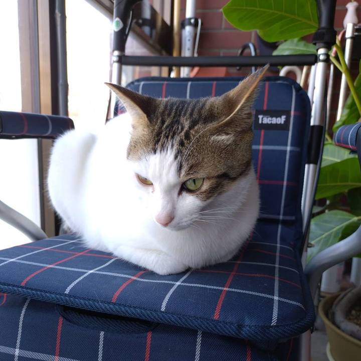 3a041b60 ea03 48a2 bdae 293d15d38764 1716087219090