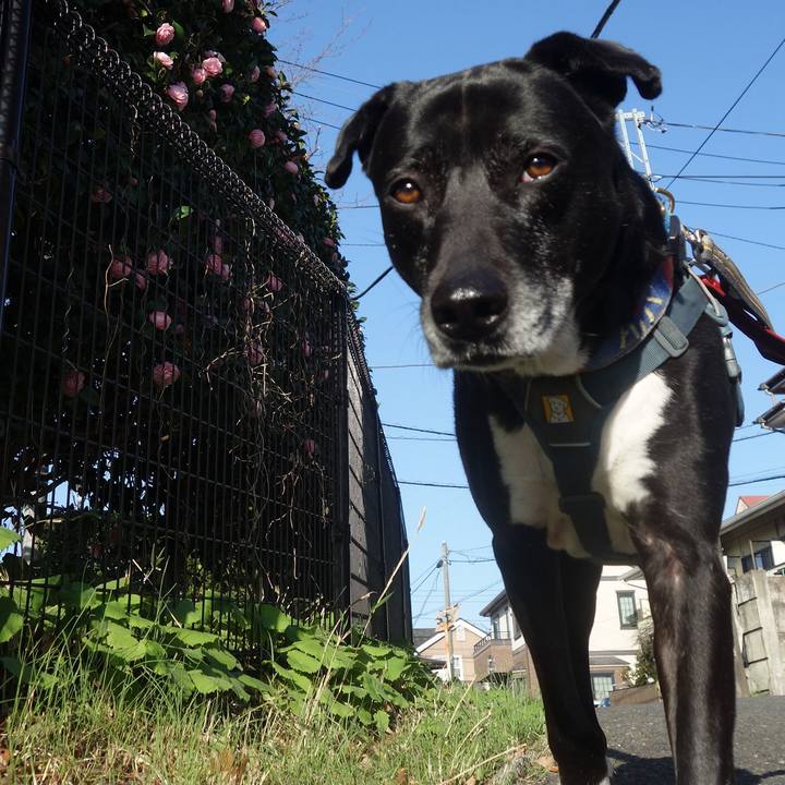 3a044709 1b7c 44a2 a760 44bce9b4a2a3 1710894660856