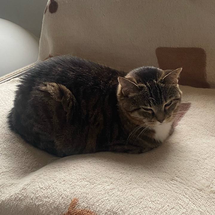 3a044934 0ca6 42e9 9d5f bd66fa9ff531 1685772471607