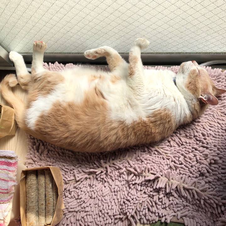 3a048850 f76d 43e9 b38a 5c91c0d13467 1553993781235