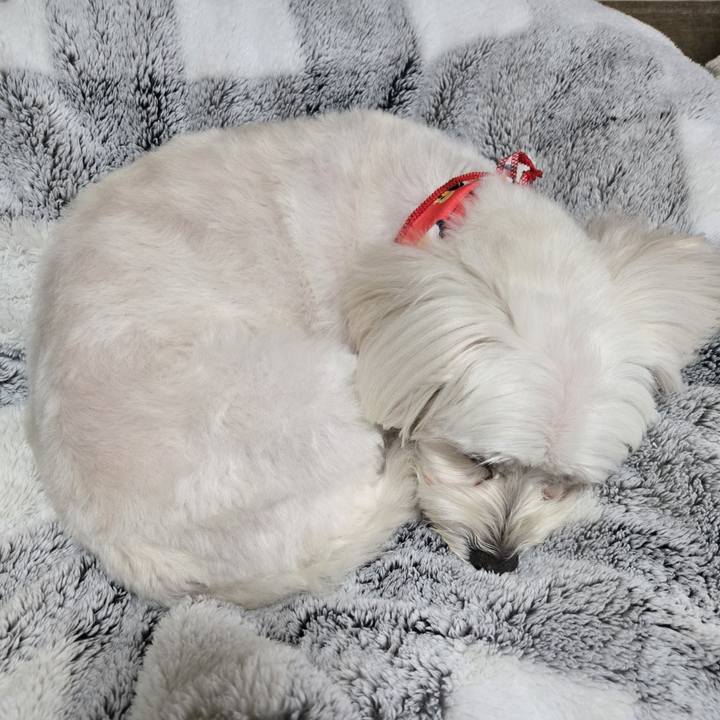 3a04ad0e 1902 4fec 946c 5a33ff78e7e8 1761396592927