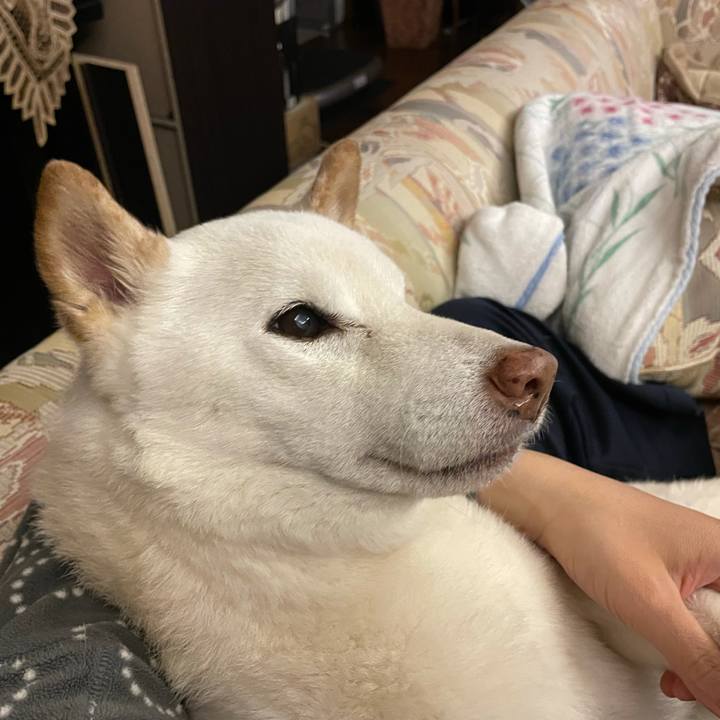 3a04bd91 dde7 4063 8dfe 943ac3d892e7 1635088502974