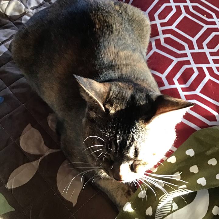 3a04c3a6 6448 4bc9 b04c 8ce2fdd1bb49 1616054276995