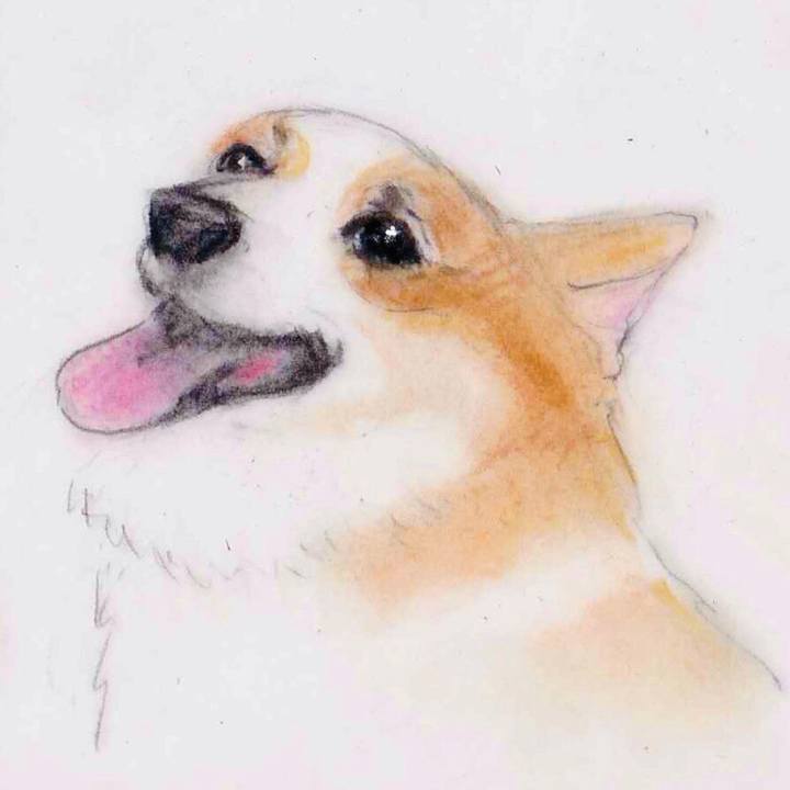 3a04cf4a 3b83 49a8 84e4 239b515cd3ca 1633068989815