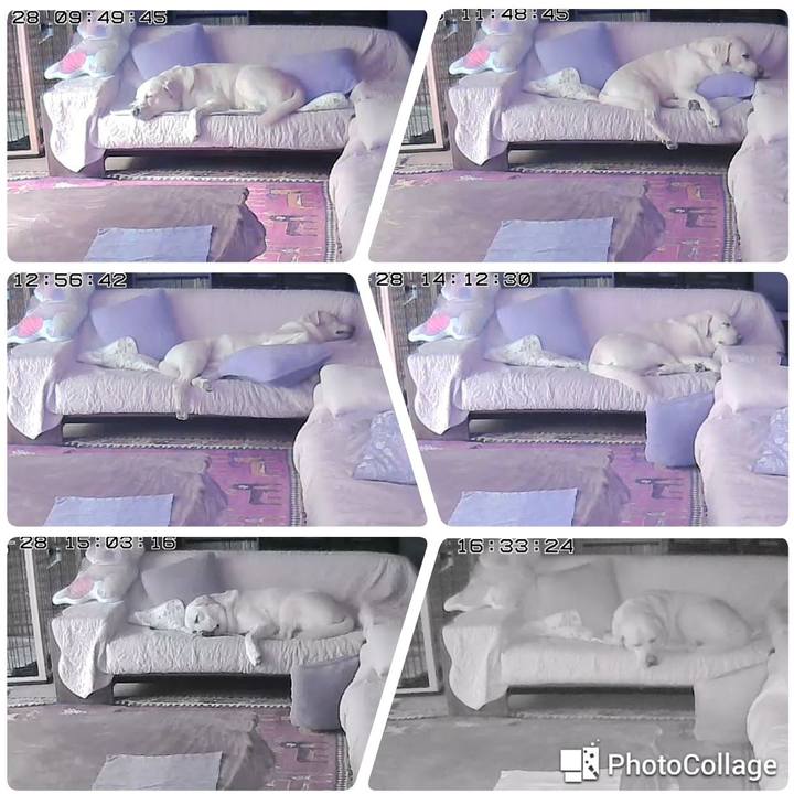 3a04df47 c9c8 405a bc8d 71ce6d7601f5 1572332634411