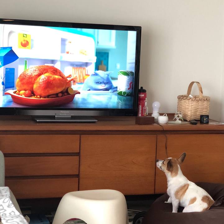 3a04eb14 bd88 4938 bf6b c6132869dbbb 1564225157708