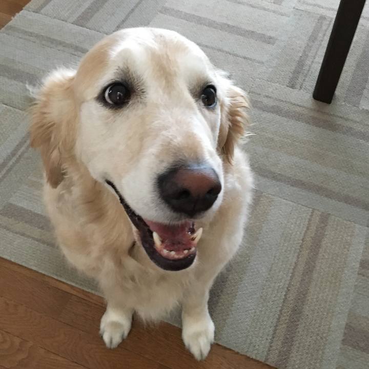 3a04f8f4 a868 4a66 871f a9911f43f55d 1561112272505