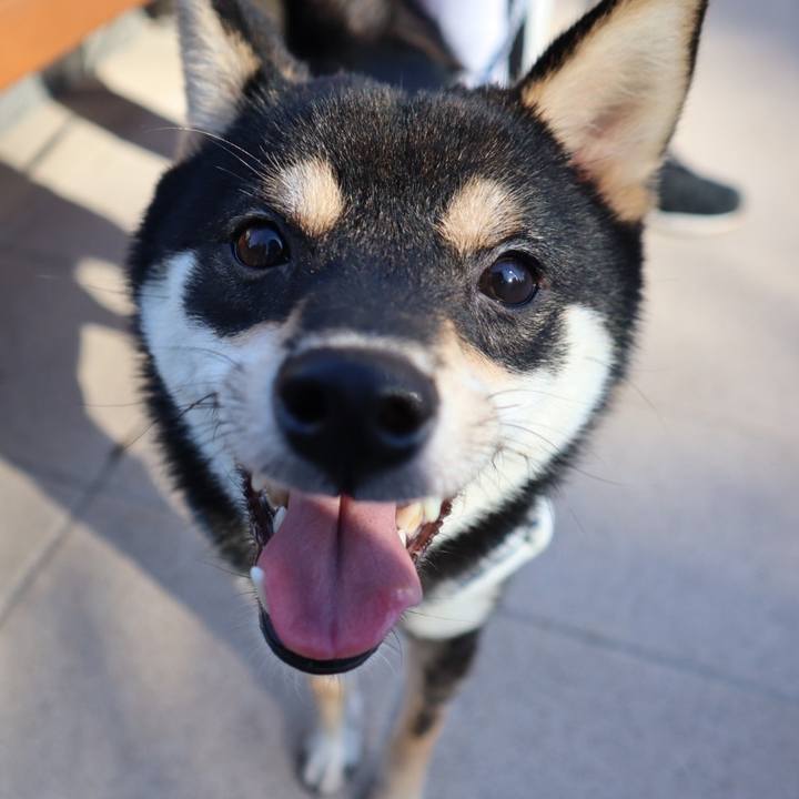 3a051469 a559 47d8 bd8b 544fe4745188 1584688945434