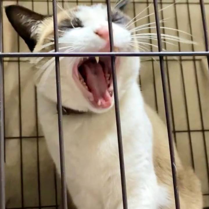 3a051cea 9533 451e be96 ccb64c3a04be 1738498269042