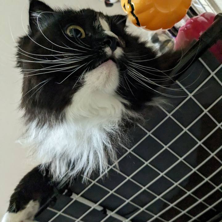 3a05330a afe9 4da2 8a05 e6c57699ddca 1678277687978