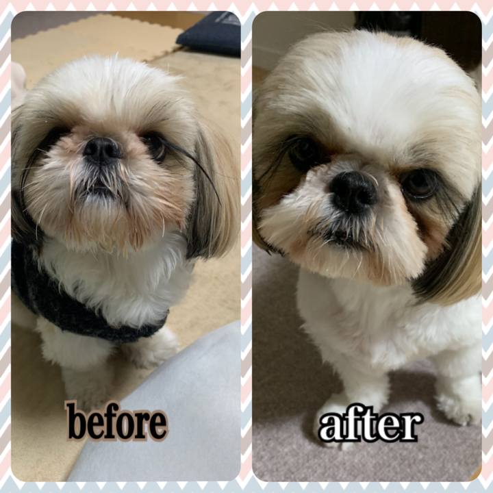 3a0536f3 0bc8 40dd 8130 d2441adfcb7a 1640005083109