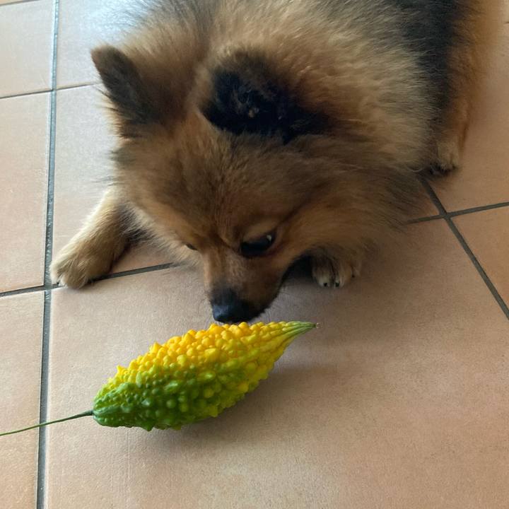 3a0545ed 215e 49db b965 09274f88a45b 1757389074887