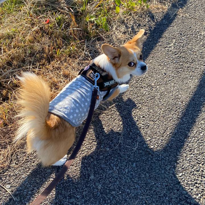 3a0546b6 a234 4c21 9941 ef1010066e00 1637932177920