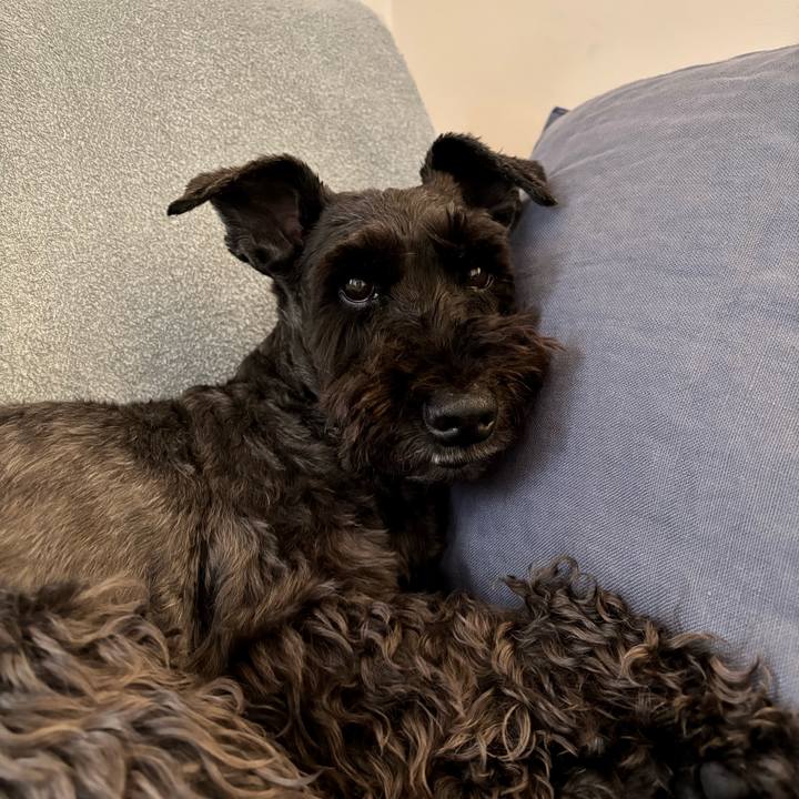 3a05a0bb 32c5 452e 9826 ab38aa6aea63 1747188938704